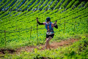 BIB: 
                            <button type="button" onclick="openModal(19162954)" class="btn btn-primary btn-sm float-right btn-popup" data-toggle="modal" data-target=".modal-high-quality">
                        <i class="fas fa-shopping-cart"></i> Add to Cart
                    </button>
                                            <button type="button" onclick="isThisMe(19162954, true)" class="btn btn-success btn-sm float-right btn-popup btn-isme hidden" data-toggle="tooltip" data-placement="bottom" title="นี่คือรูปของคุณใช่ไหม คลิกที่นี่เพื่อเอาเข้าอัลบั้ม">
                        <i class="fas fa-plus"></i> Add to album
                    </button>
                    <button type="button" onclick="isThisMe(19162954, false)" class="btn btn-warning btn-sm float-right btn-popup btn-isnotme hidden">
                        <i class="fas fa-ban"></i> Remove from album
                    </button>